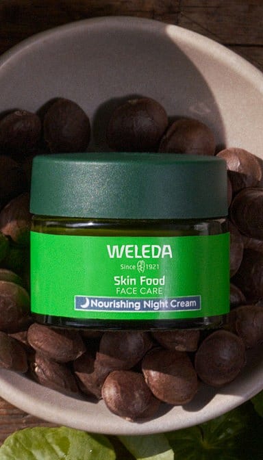 Skin Food Besleyici Gece Bakım Kremi